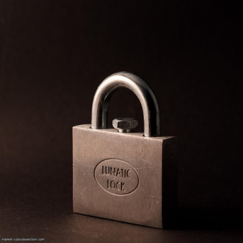 Lunatic Lock - by Gary Forshee