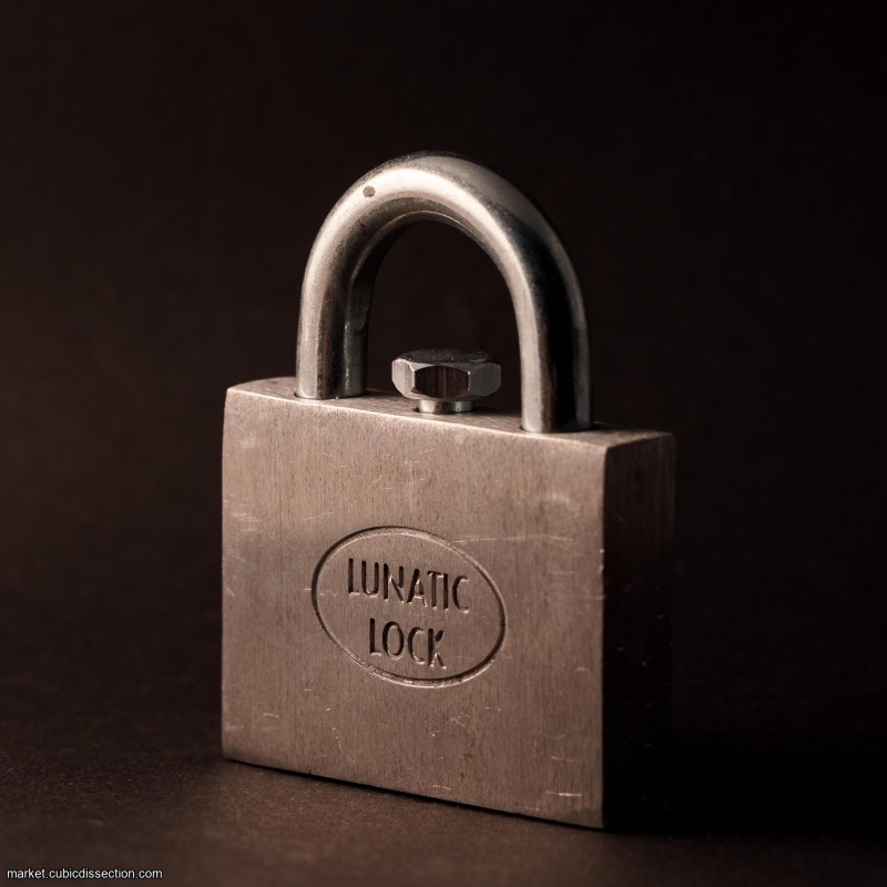 Lunatic Lock - by Gary Forshee