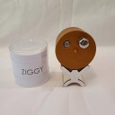 Ziggy