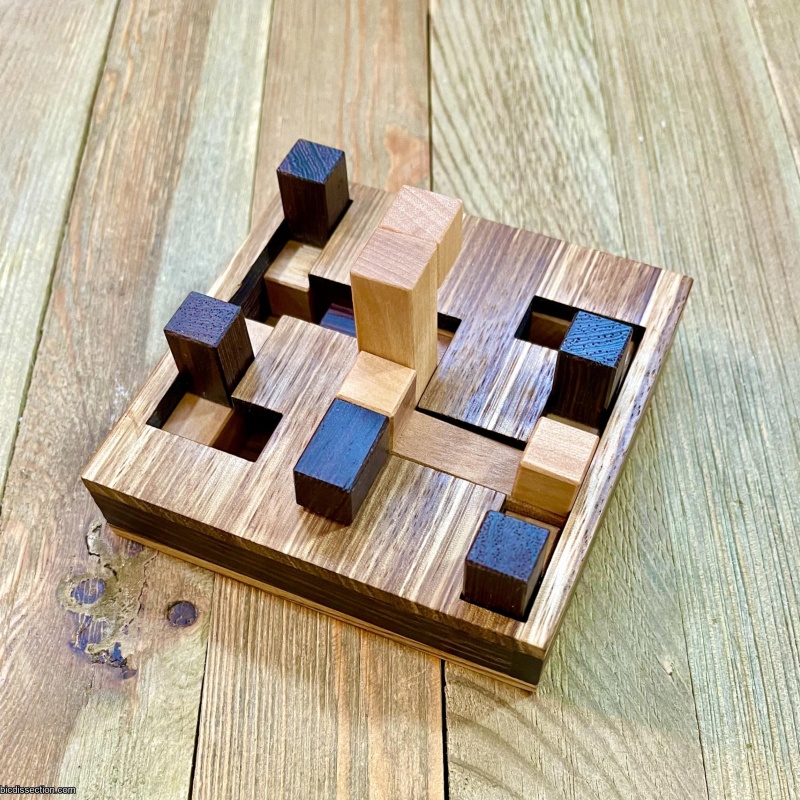 Alpacka 1 by Alexander Magyarics