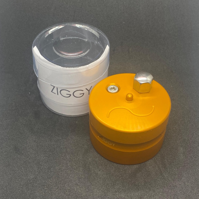 Ziggy by Radek Micopulos and principle by Douglas Menzies