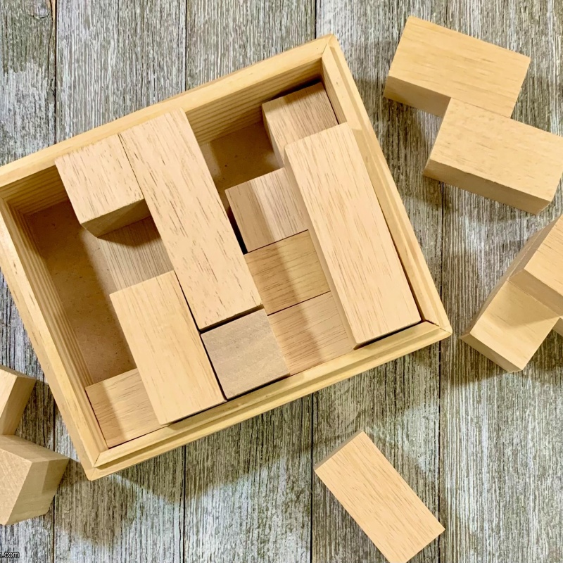 Wu T Like Tokyo Tetromino Puzzle IPP21