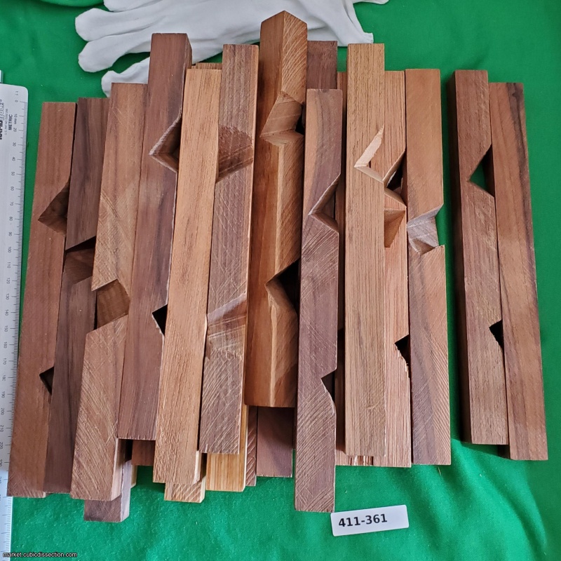 Spider's Web by Bill Cutler [411-361]