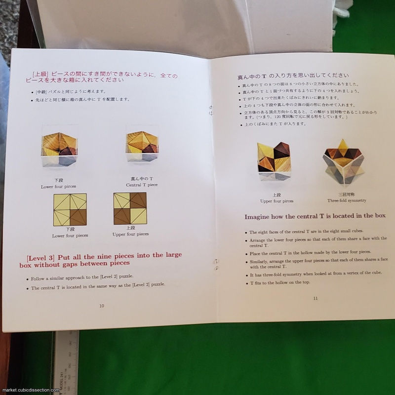 Imaginary Cube Puzzle 3H=6T [411-929]