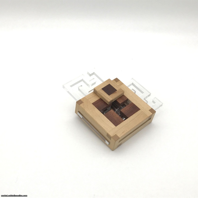 Dual Maze by Tamás Vanyó