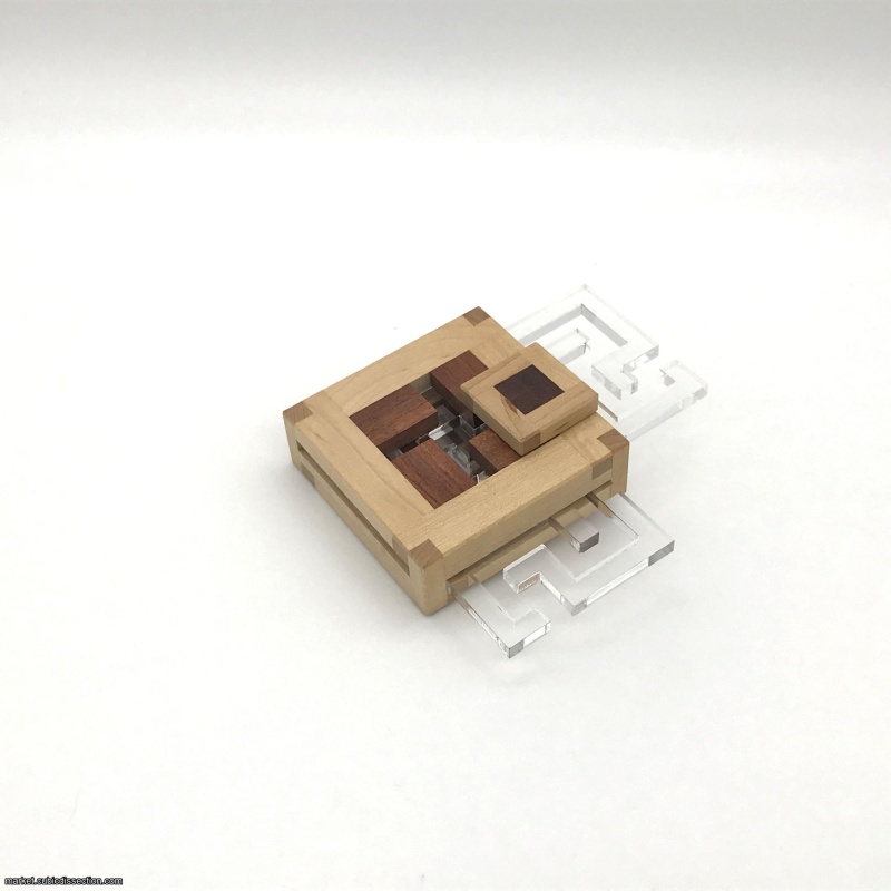 Dual Maze by Tamás Vanyó