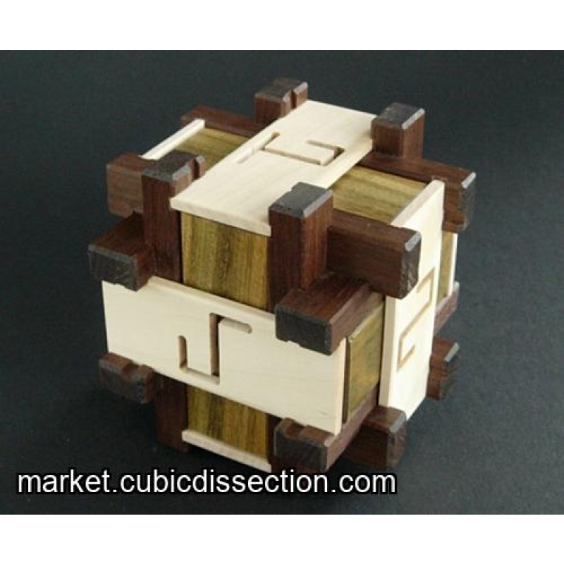 Self Contained Maze Burr by Kagen Sound