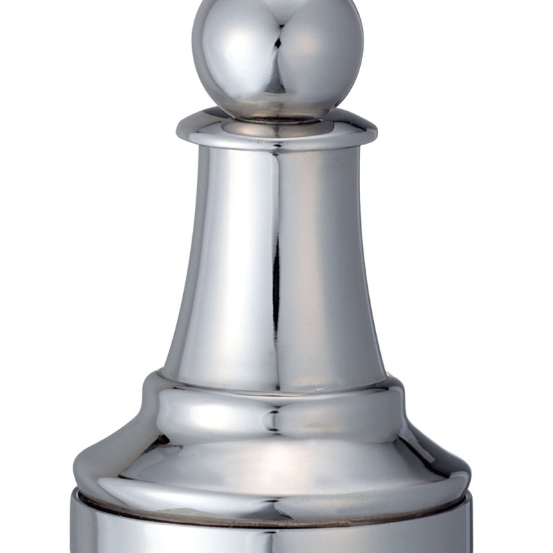 Chess Pawn - Hanayama Cast Puzzle Premium Series
