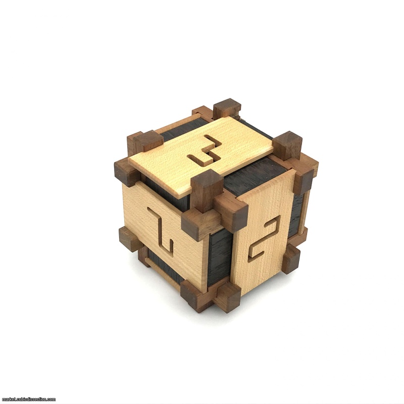 Maze Burr by Kagen Sound