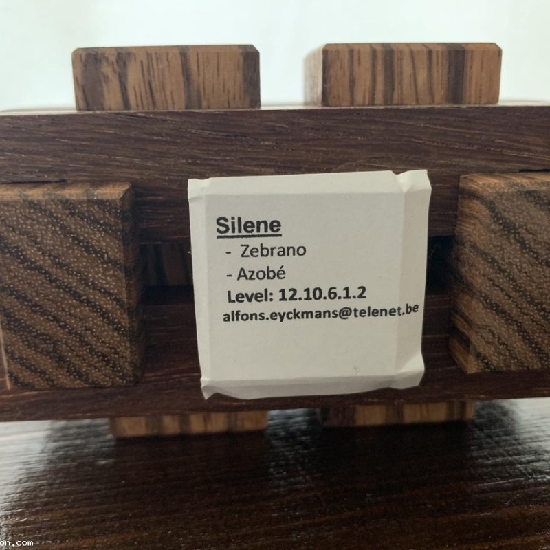 Silene