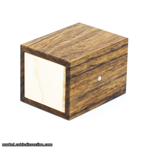 Tube It In by Wil Strijbos Shedua Copy (RPP)