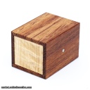 Tube It In by Wil Strijbos Bubinga Copy (RPP)