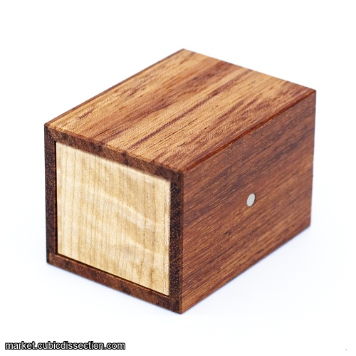 Tube It In by Wil Strijbos Bubinga Copy (RPP)