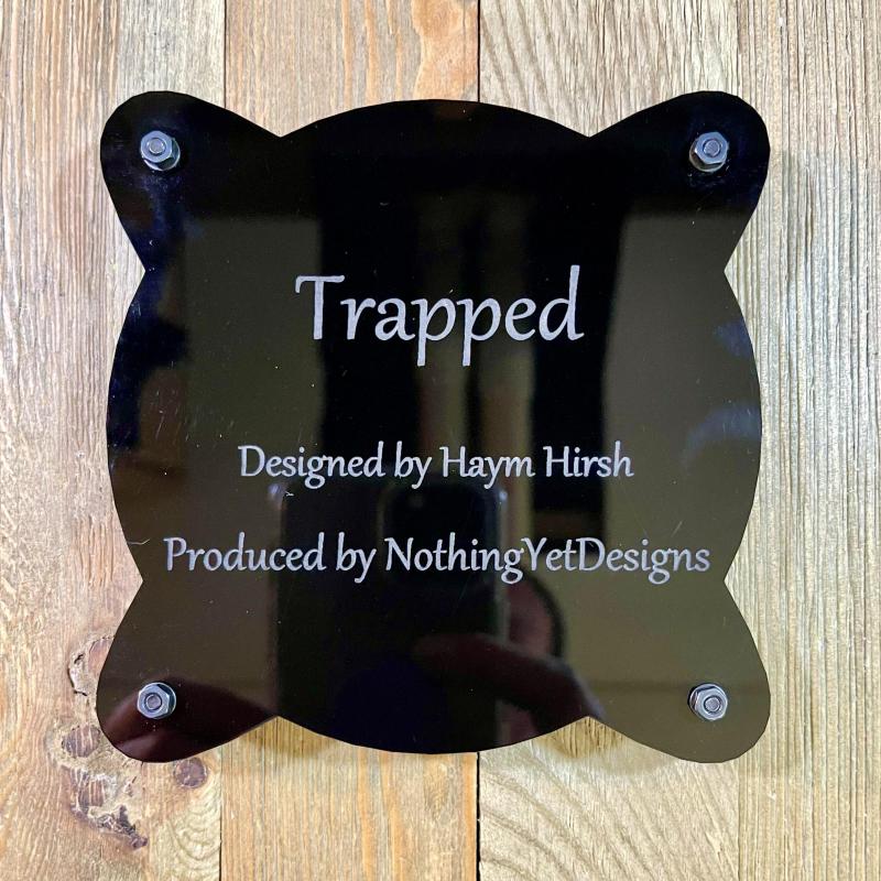 Trapped Packing Puzzle ( Spinnage 6) by Hyam Hirsh