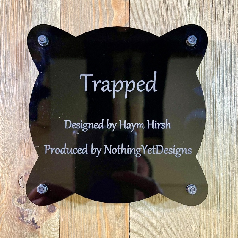 Trapped Packing Puzzle ( Spinnage 6) by Hyam Hirsh