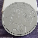 Buffalo Nickel - Oskar van Deventer