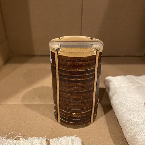 Mimosa by Abhishek Ruikar