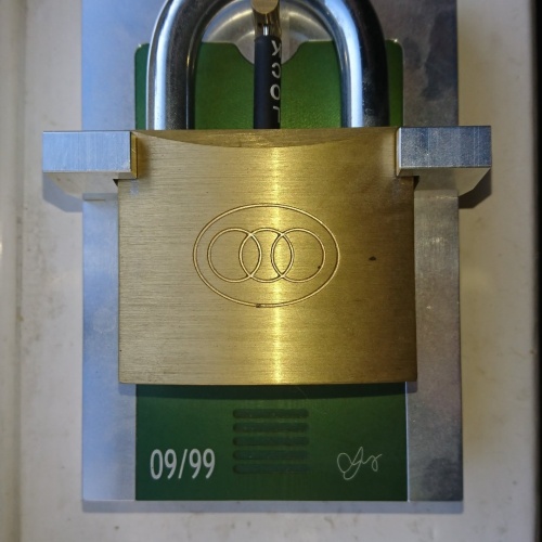 Butterfly Lock (Pain & Pleasure)