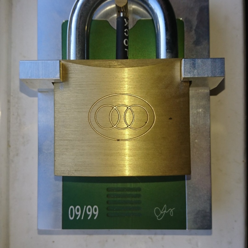 Butterfly Lock (Pain & Pleasure)