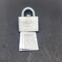 Lunatic Lock - by Gary Forshee