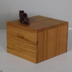 Cat and Cardboard Box - Yoh Kakuda