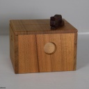 Cat and Cardboard Box - Yoh Kakuda