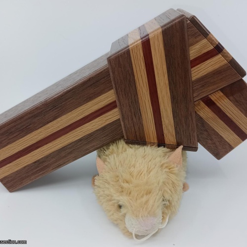 Chiyo-Musubi RF-30 : Hiroshi Iwahara