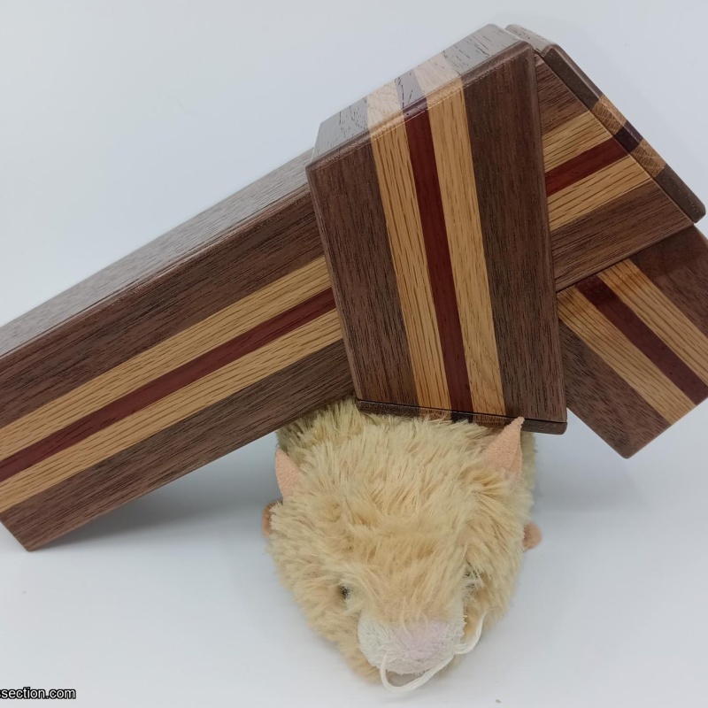 Chiyo-Musubi RF-30 : Hiroshi Iwahara