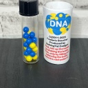 DNA - NEW - 3 of 3
