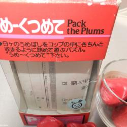 Toyo Glass PACK THE PLUMS