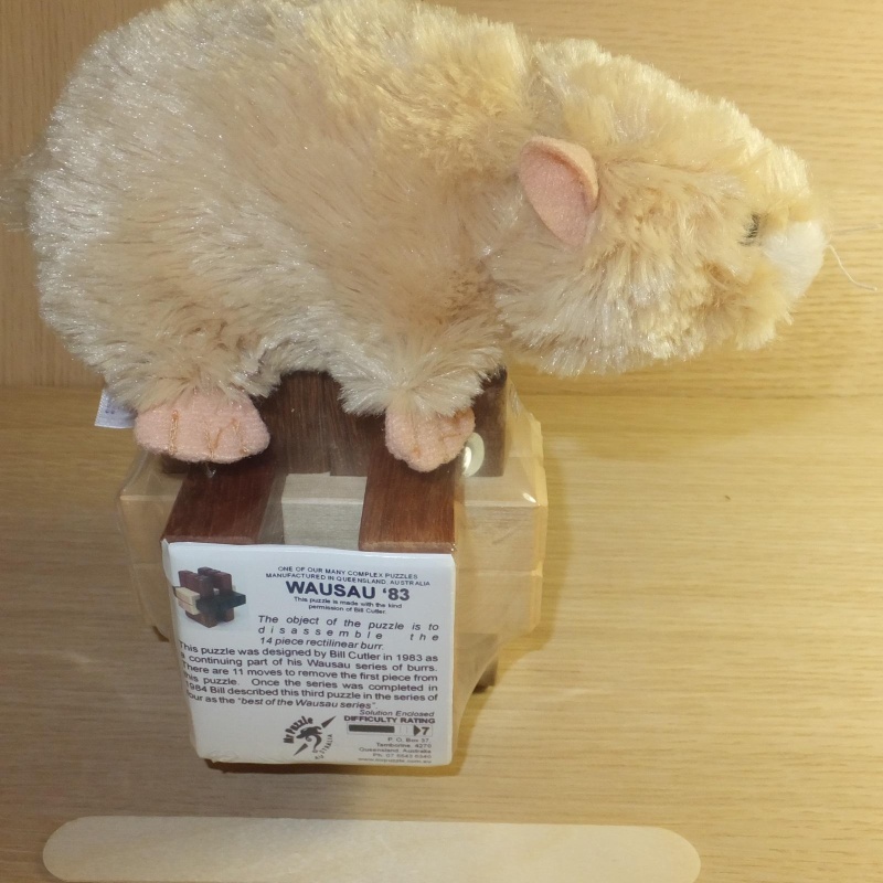 Wausau '83 - Mr Puzzle