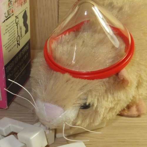 Toyo Glass : Tongari Kun and Roppongi...six piece burr in a jar.