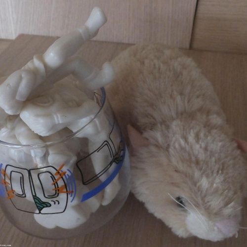 Toyo Glass : Tokyo Subway