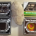 4 Wooden Dexerity Games by WADA