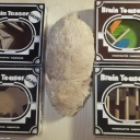 4 Wooden Dexerity Games by WADA (Lot 4)