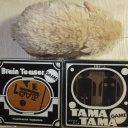 Two Wooden Dexerity Game by WADA (Lot 13) Love, Boobs, balls and other naughty bits.