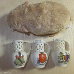 3 Crested Puzzle Jugs, Chester, Bridlington and Hull  (Lot 3 of 4)