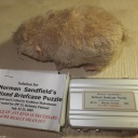 Norman Sandfield's Bollixed Briefcase Puzzle