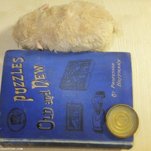 Puzzles Old and New by Professor Hoffmann 1893 + Puzzle