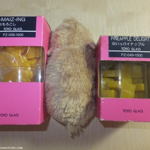 Toyo Glass, Pineapple Delight and A-maiz-ing