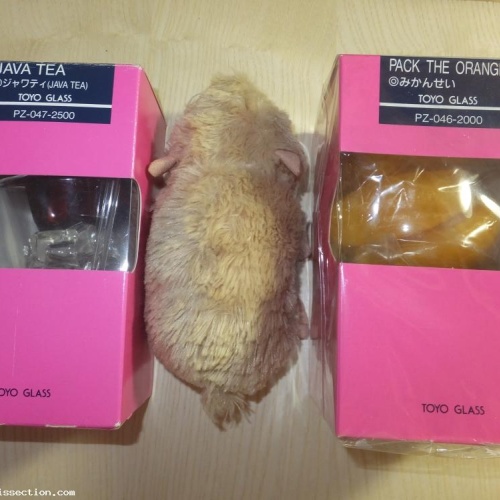 Toyo Glass, Java Tea and Pack the Orange