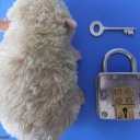 Trick Padlock #1 "WASI Commander Best S A"