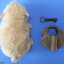 Trick Padlock #2 No markings, brass shackle