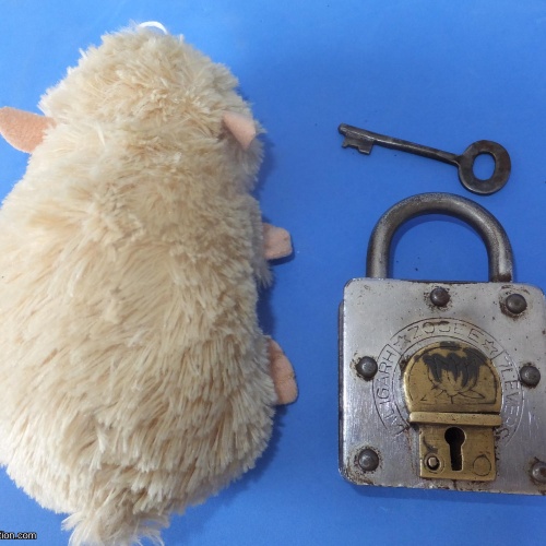 Trick Padlock #11 "Aligargh Zooee 7 Levers"