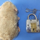 Trick Padlock #14 "WASI Commander Best"