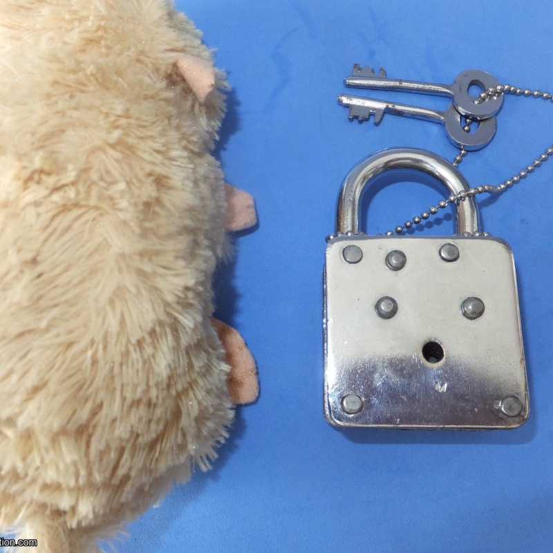 Trick Padlock #14 "WASI Commander Best"