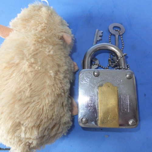 Trick Padlock #28 "Aligarh Arzoo No551 7 LEVERS"