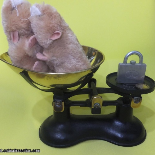 Lunatic Lock (assume Bits and Pieces Version)