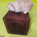 Large 6x6x6 Closterman Cage Puzzle