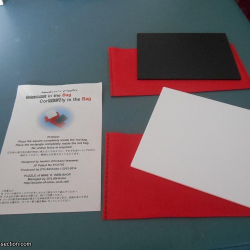 Square in the Bag   CorRECTly in the Bag (2 puzzles)